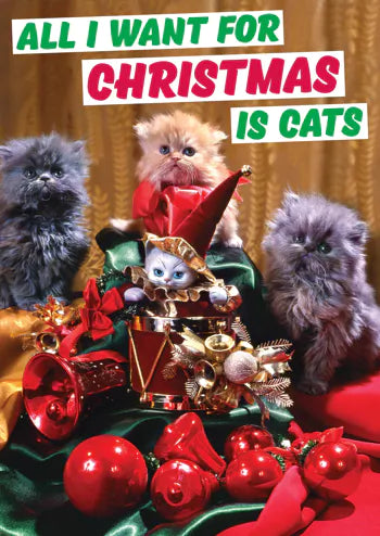 A Christmas card with a retro picture of festive cats surrounded by lots of Christmas paraphernalia including baubles and presents. Red and green text above them reads All I want for Christmas is cats.