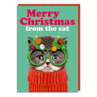 A Christmas card colourful picture of a frowning cat in a red Christmas jumper wearing christmas tree festive glasses against a green backdrop. Red and white text above reads Merry Christmas from the cat.
