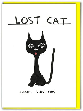 David Shrigley greeting card - lost cat