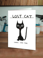 David Shrigley greeting card - lost cat