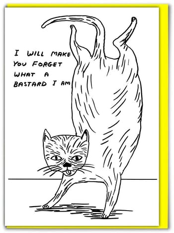 David Shrigley greeting card - bastard cat