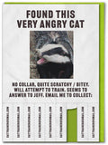 Brainbox Candy - Funny Greetings Card - Very Angry Cat by Brainbox Candy