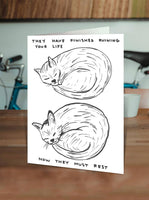 David Shrigley x Brainbox Candy greeting card - Cat Ruining Your Life