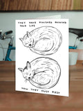 David Shrigley x Brainbox Candy greeting card - Cat Ruining Your Life