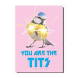 Camp kitsch card with a bluetit graphic and text on a pink background. You Are The Tits Greeting Card  by Bite Your Granny 