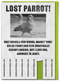 Brainbox Candy - Funny Greetings Card - Lost Parrot by Brainbox Candy