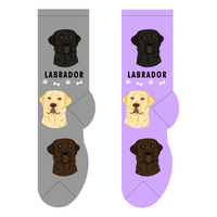 Labrador dog socks - one size adults