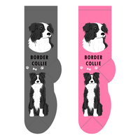 Border Collie dog socks - one size adults