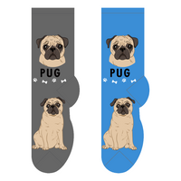 Pug dog socks - one size adults