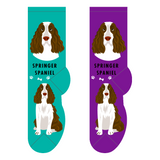 Springer Spaniel dog socks - one size adults
