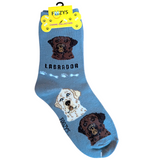 Labrador dog socks - one size adults