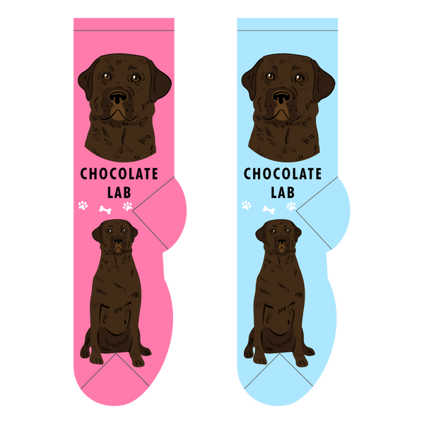 Chocolate Lab novelty socks