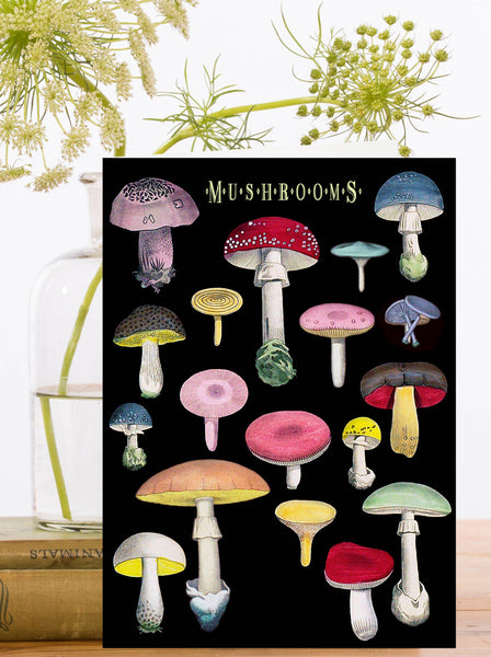 Vintage Mushrooms Colour Chart Greeting Card