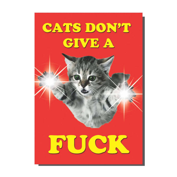Cats Dont Give AF greeting card
