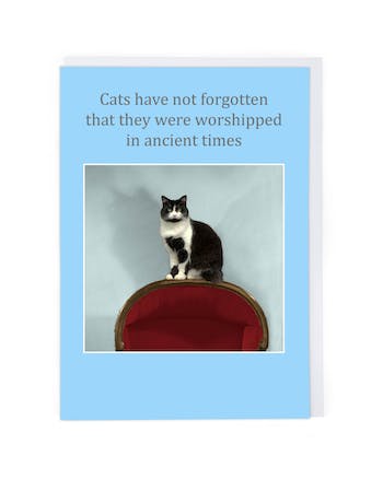 Cats have not forgotten that they were worshipped in ancient times greeting card