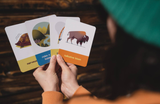 Campfire Stories Cards For Kids!