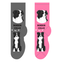 Border Collie novelty socks