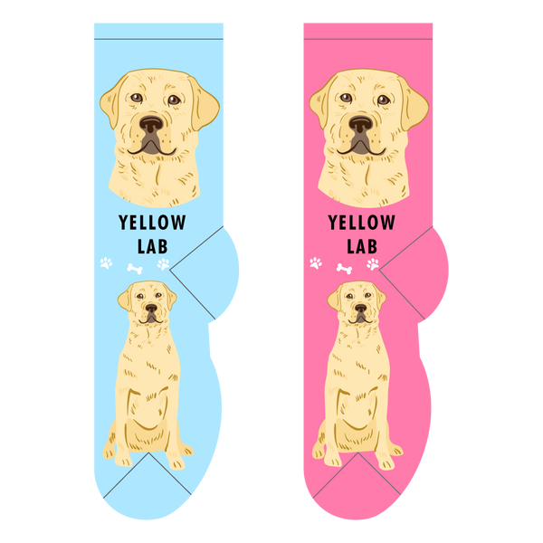 Yellow Lab novelty socks